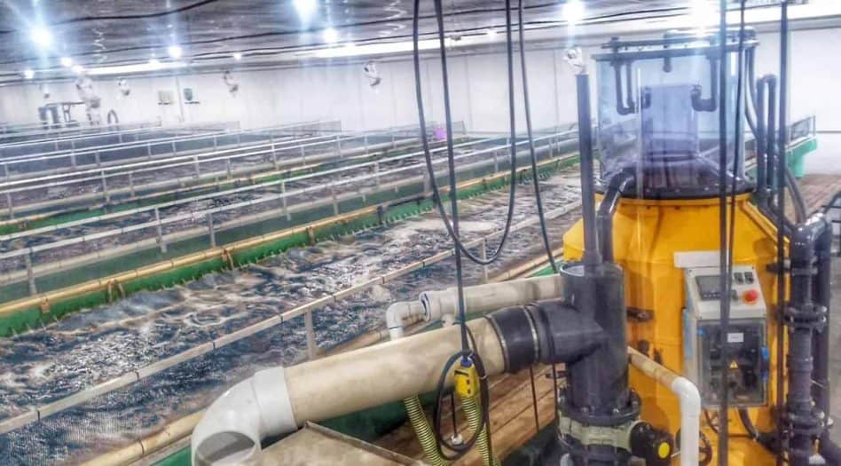 Land based aquaculture fish farm powered by MAT-KULING filtration equipment